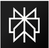 Photo of the Perplexity AI Application icon. 
